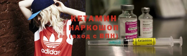 сатива Армянск