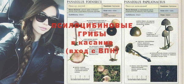 мяу мяу кристалл Аркадак