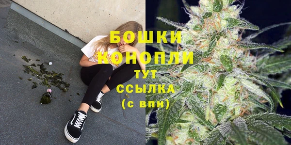сатива Армянск
