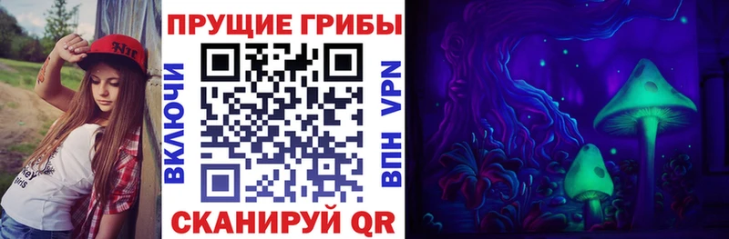 как найти наркотики  Ельня  Галлюциногенные грибы Psilocybine cubensis 